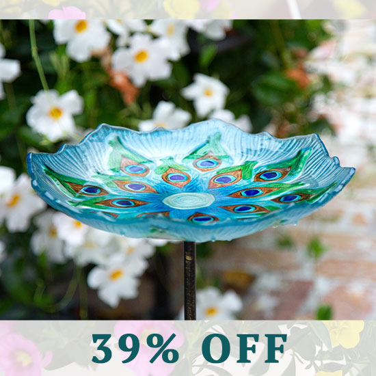 Peacock Glass Bird Bath - 39% OFF