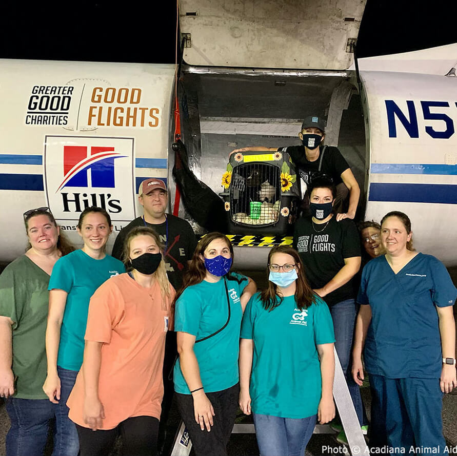 Volunteers pose outside of a plane set to fly rescue animals to shelters