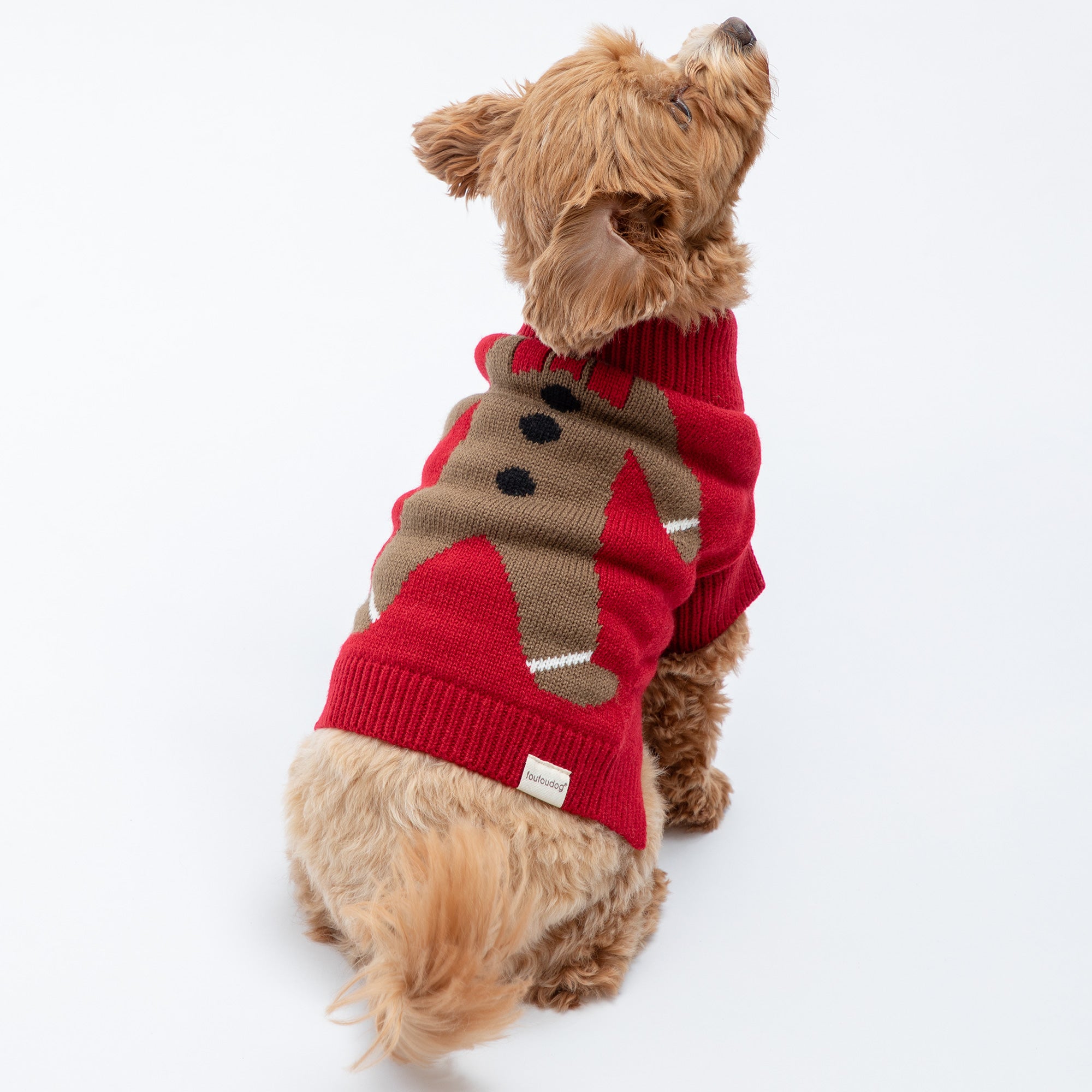 Cozy Christmas Pet Sweater - Gingerbread - L