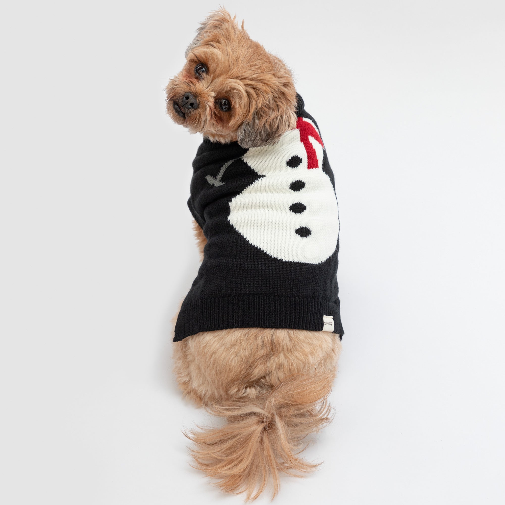Cozy Christmas Pet Sweater - Snowman - S
