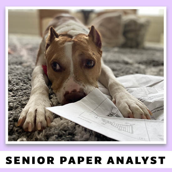 Senior Paper Analyst