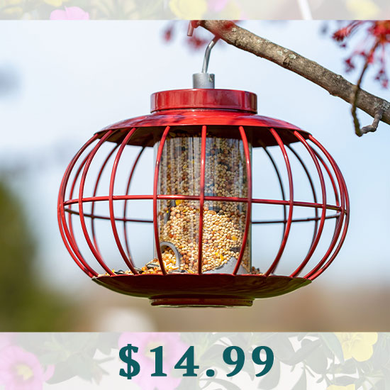 Secure Sphere Bird Feeder - $14.99
