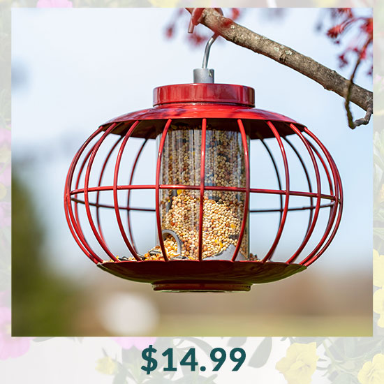 Secure Sphere Bird Feeder - $14.99