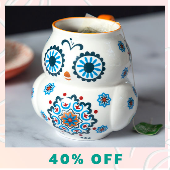 Bright Eyed Owl Mug - 40% OFF