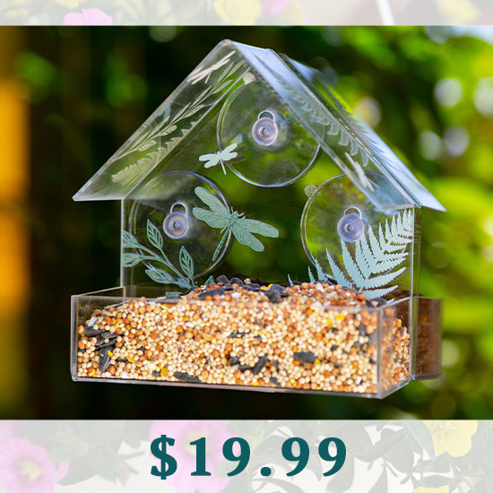 Natural Elements Window Bird Feeder - $19.99