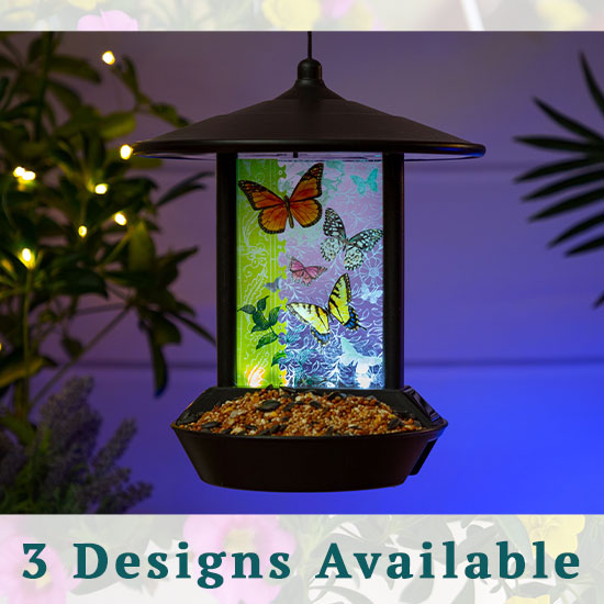 Wildlife Wonder Solar Light Bird Feeder - 3 Designs Available