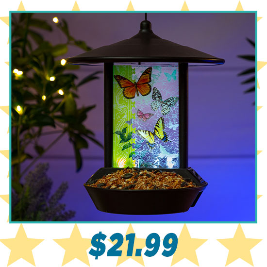 Wildlife Wonder Solar Light Bird Feeder - $21.99