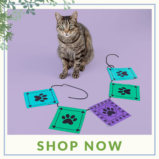 Pet Blessing Flags - Shop Now