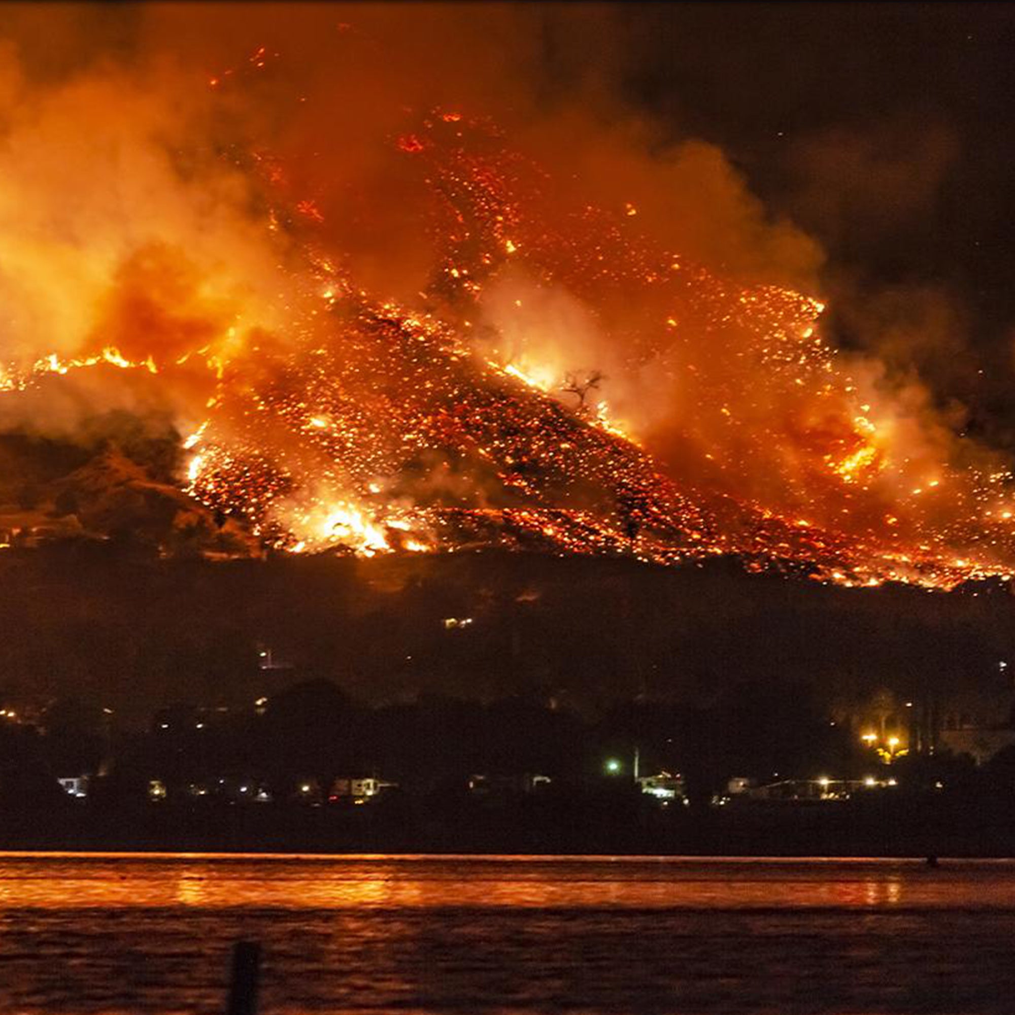 Wildfires Devastate California - Help Displaced Animals Now