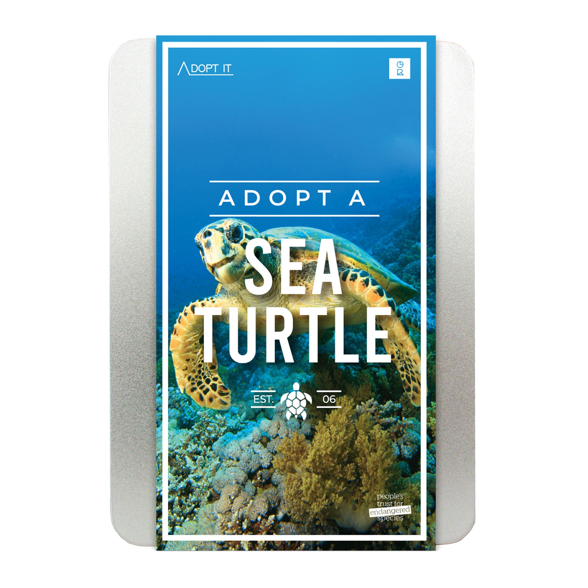 People's Trust For Endangered Species Adoption Kit - Sea Turtle