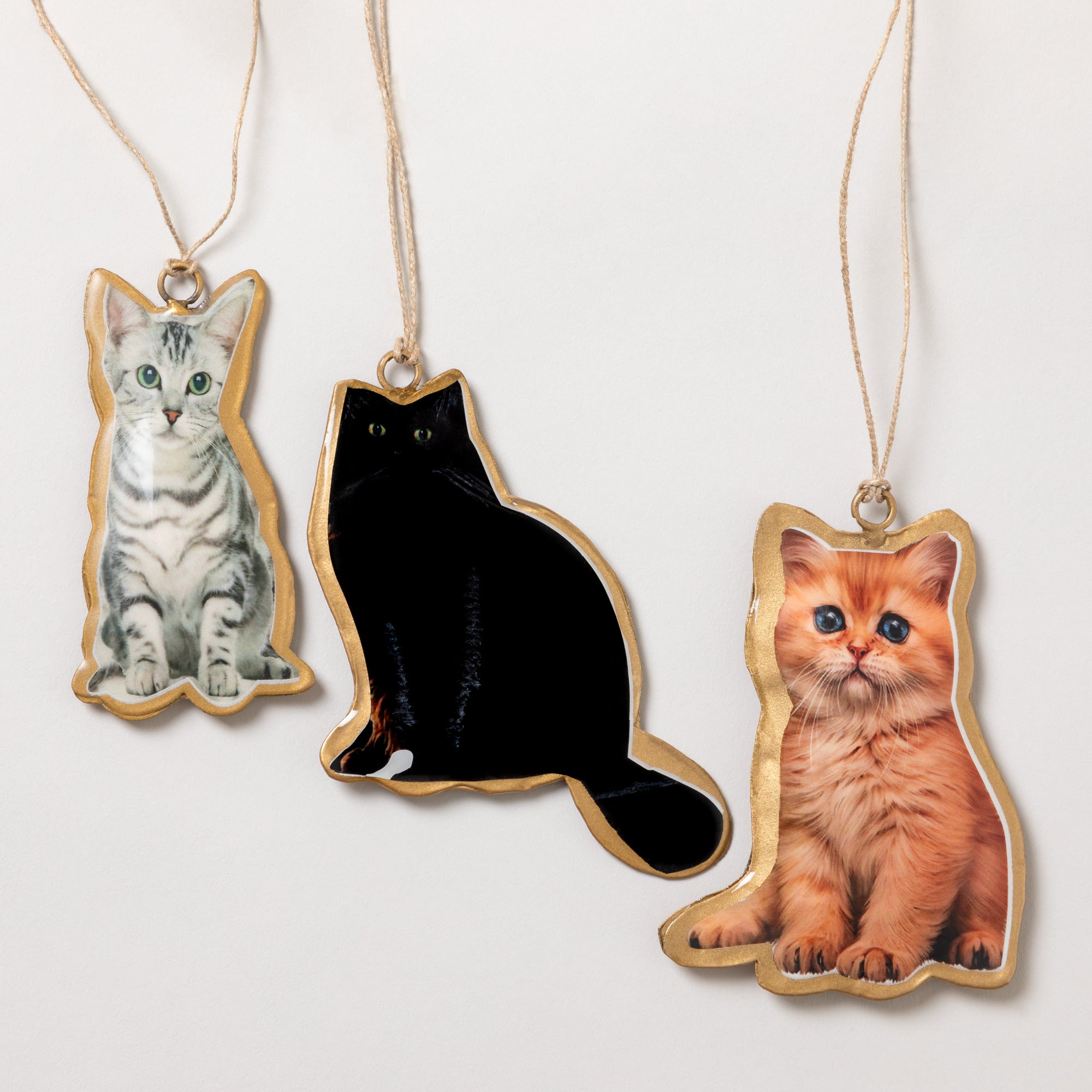 Love For Cats Metal Ornament - Orange