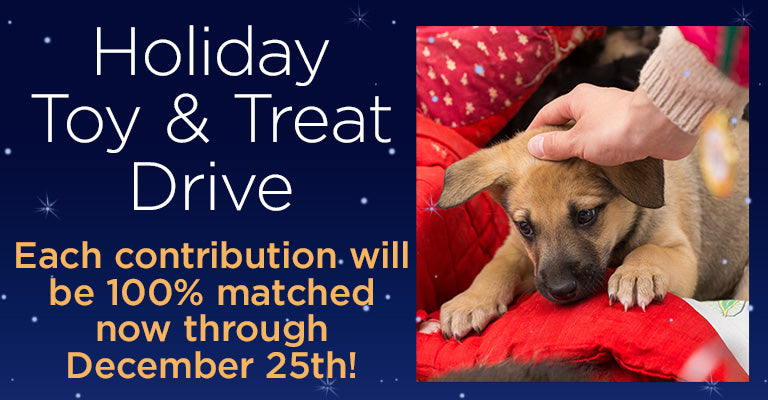 Holiday Toy & Treat Drive | Each contribution will be 100% matched now through December 25th!