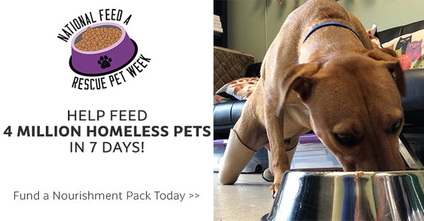 Help Feed 4 Million Homeless Pets in 7 Days! Fund a Nourishment Pack Today