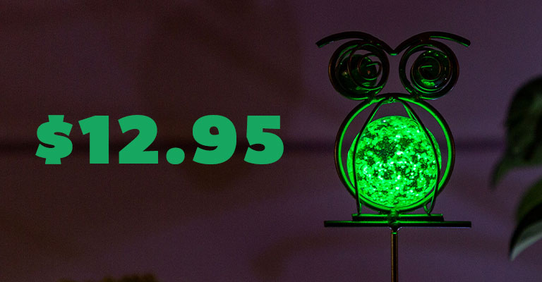 Illuminarie Glow-in-the-Dark Pet Pot Sticker |  $12.95