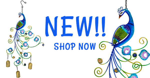 New! | Shop Now!