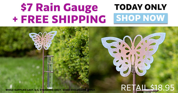 $7 Rain Gauge & Free Shipping | Today Only | Shop Now!