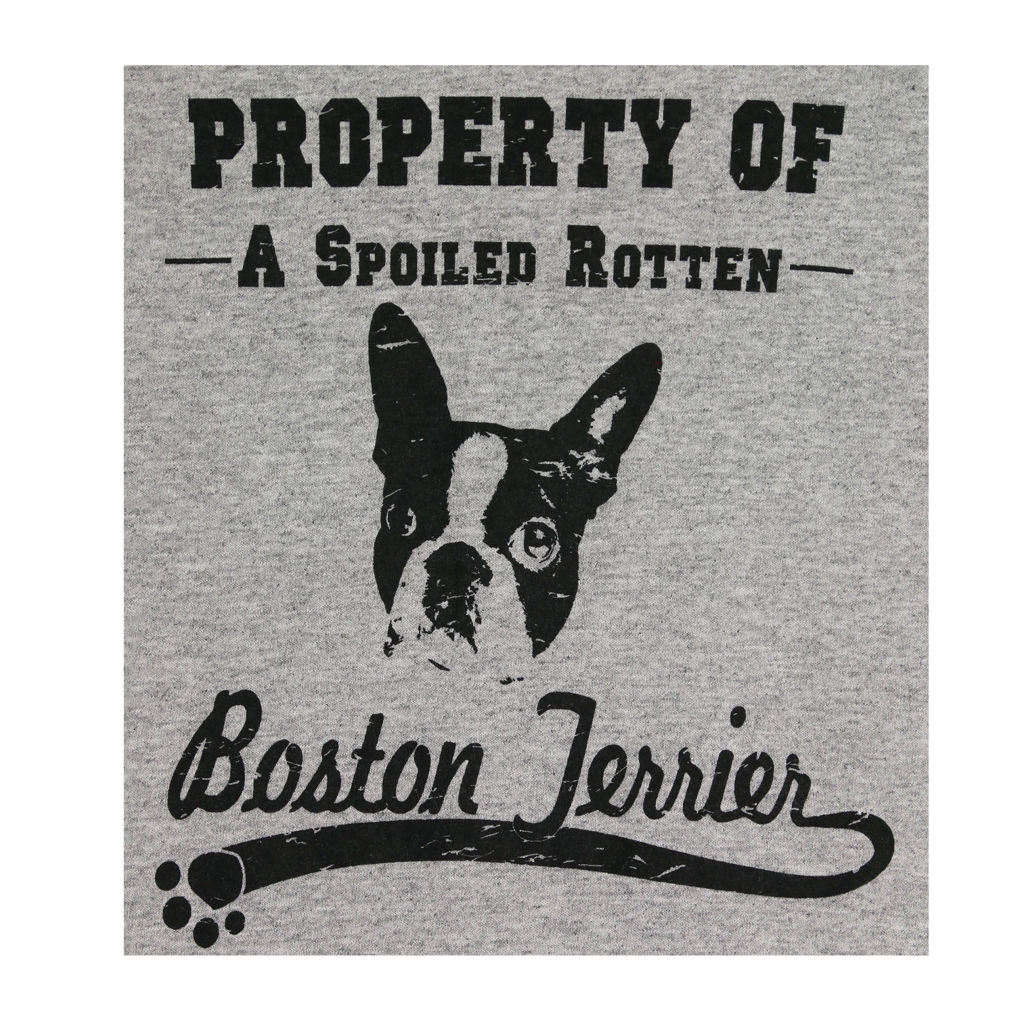 Property Of Dog Breed T-Shirt - Boston Terrier - M