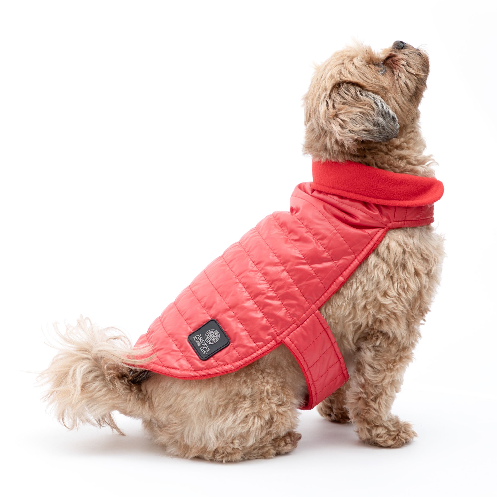 AKC Belly Band Dog Puff Coat - L - Red