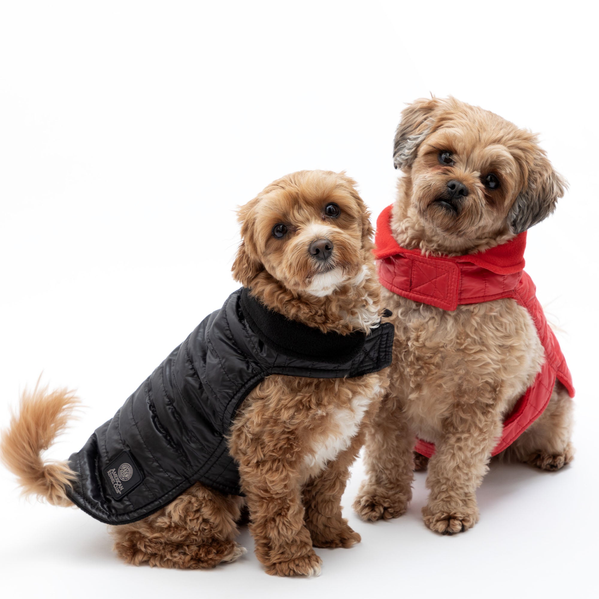 AKC Belly Band Dog Puff Coat - L - Red