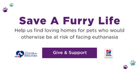 Save a Furry Life | Help us find loving homes for pets who would otherwise be at risk of facing euthansia | Give & Support
