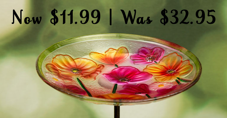 Sunny Garden Glass Bird Bath | Now $11.99 | Was $32.95