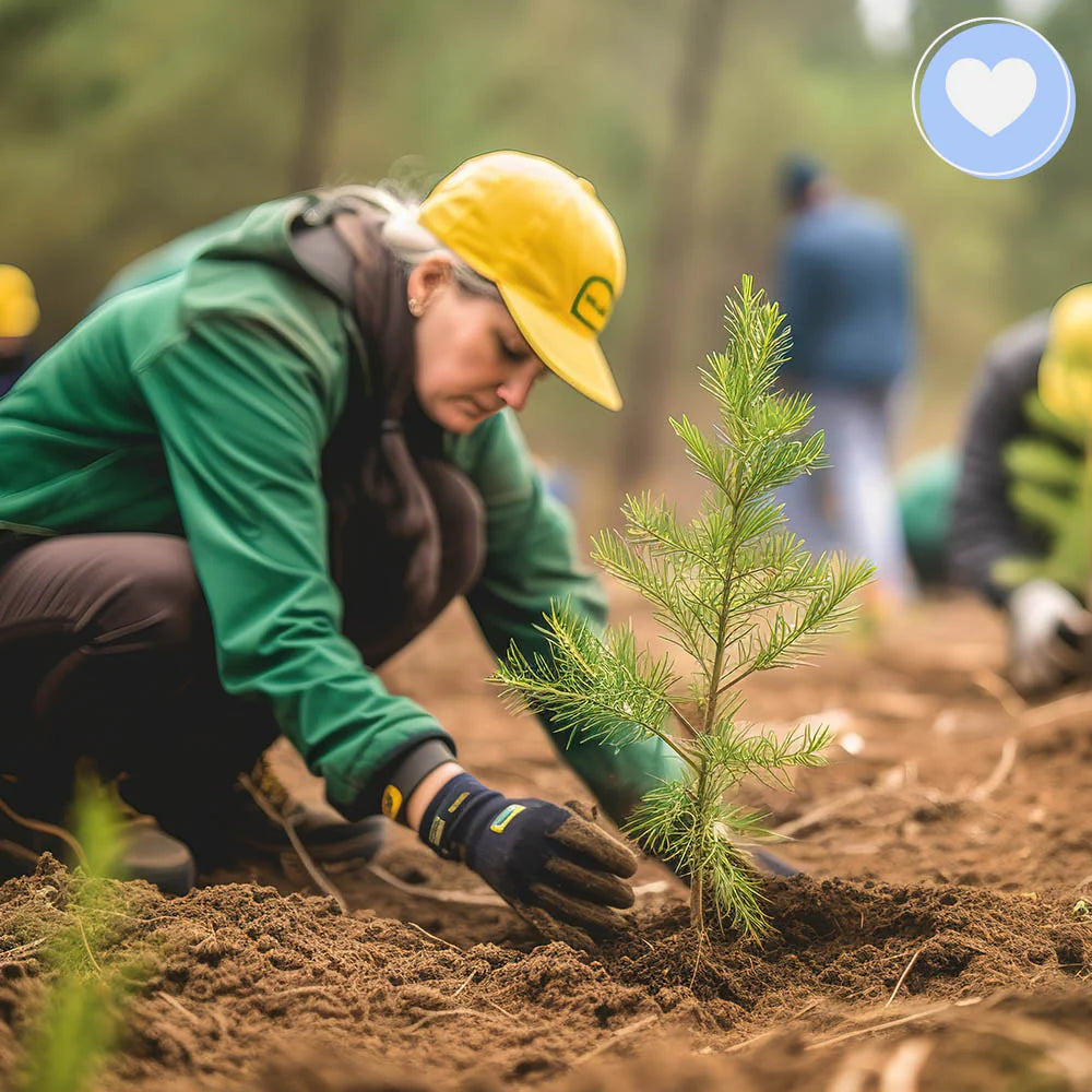 Help Us Plant Trees