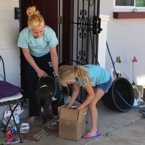 A pet foster family receives their kit deliver