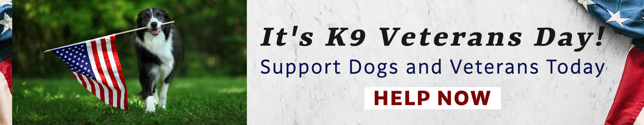 It's K9 Veterans Day! Support dogs and veterans today | Help Now