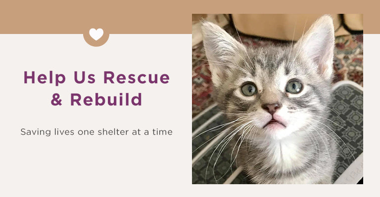 Help Us Rescue & Rebuild | Saving lives one shelter at a time