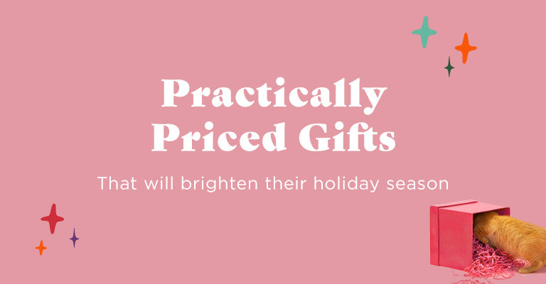 Practically priced Gifts | That will brighten their holiday season