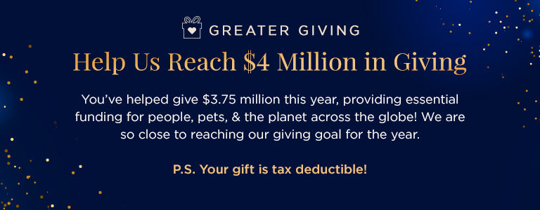 Greater Giving - Find the Perfect Last Minute Gift