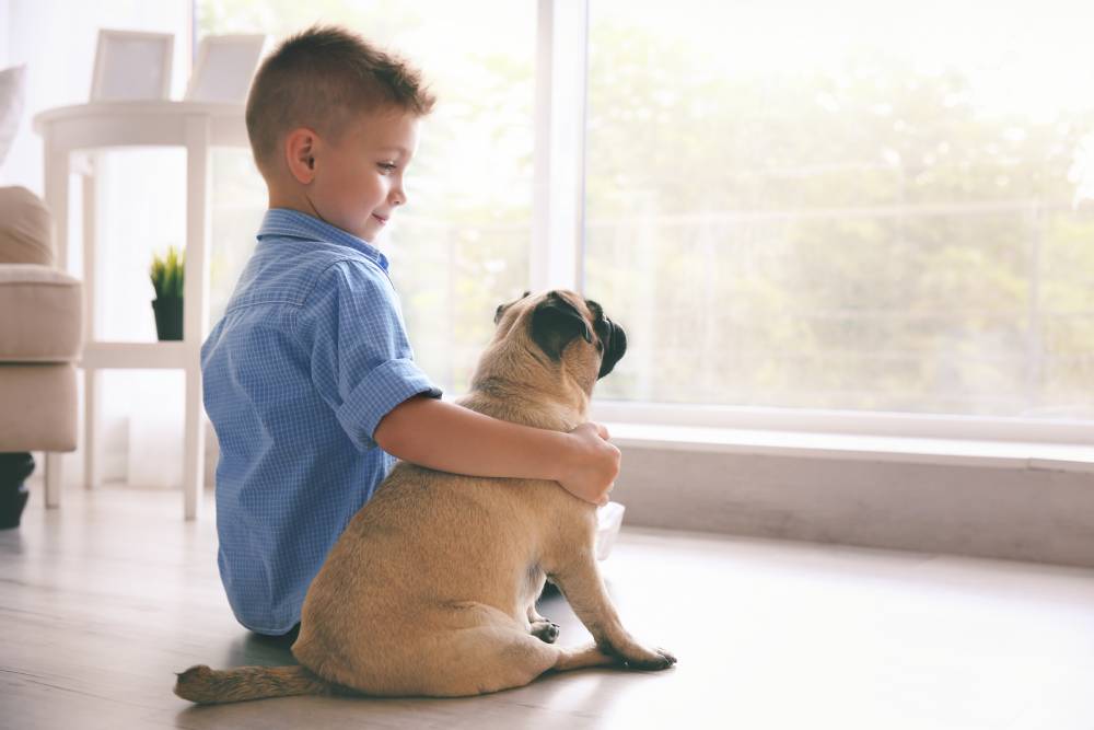 Dog cuddling with his boy