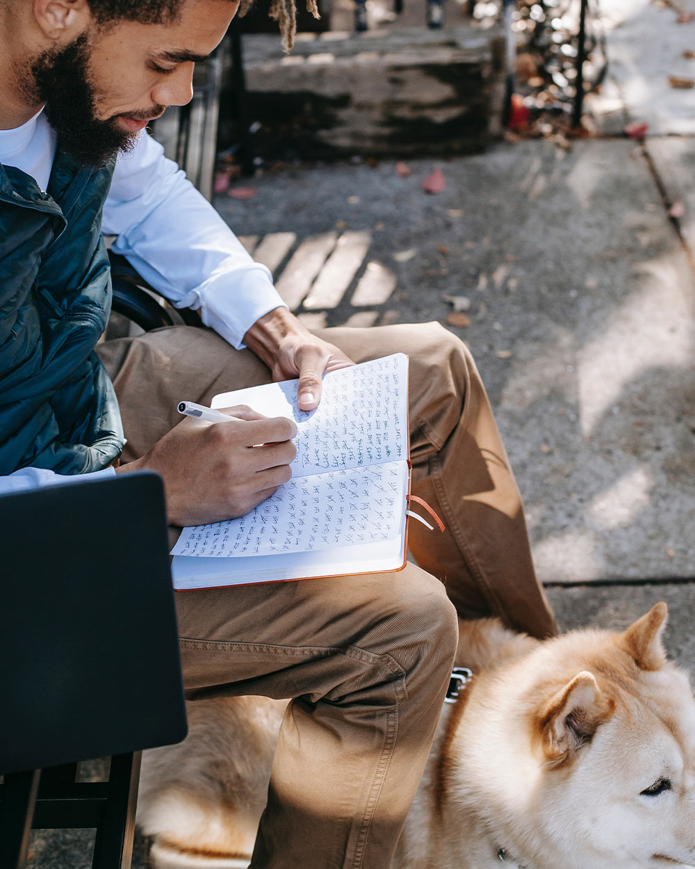 The presence of pets can contribute to a more relaxed and positive atmosphere in student living spaces.