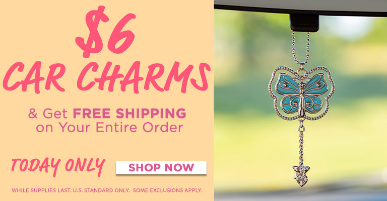 $6 Car Charms | Get Free Shipping On Your Entire Order!