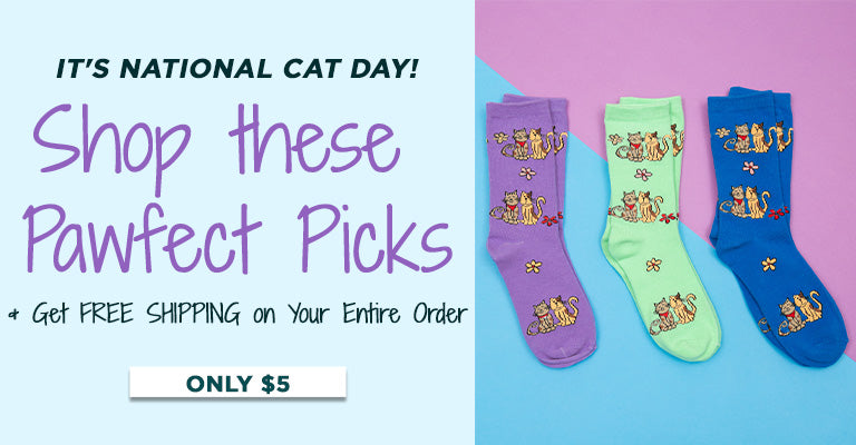 It's National Cat Day! Shop these Pawfect Picks & Get FREE Shipping on Your Entire Order | Only $5