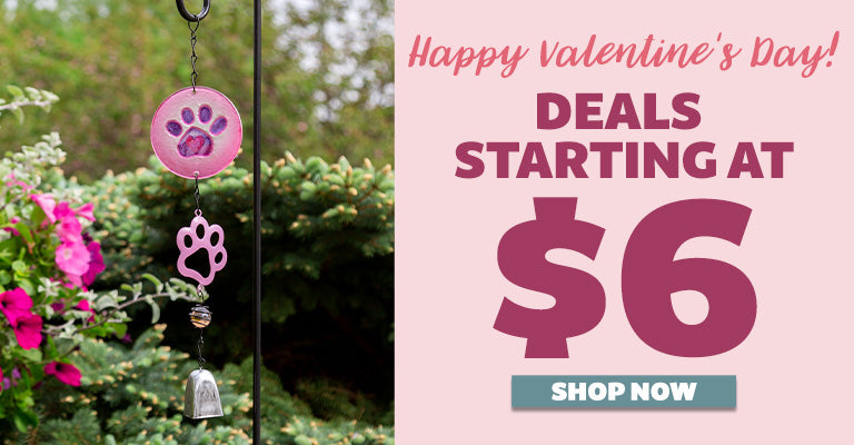 Happy Valentine's Day! | Deals Starting at $6 | Shop Now