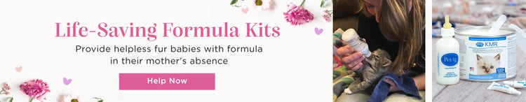 Life-Saving Formula Kits | Provide helpless fur babies with formula in their mother's absence