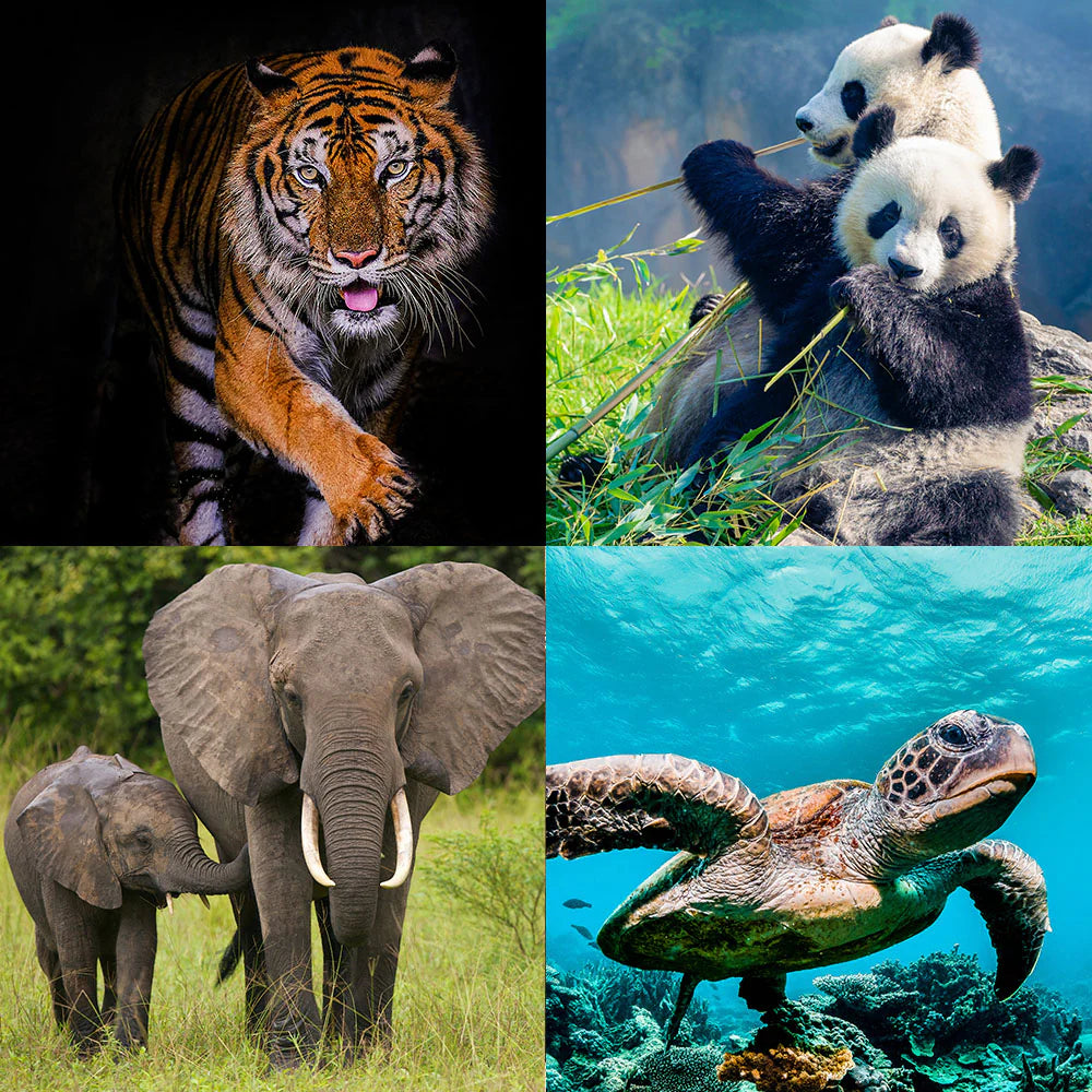 Help Save Endangered Species
