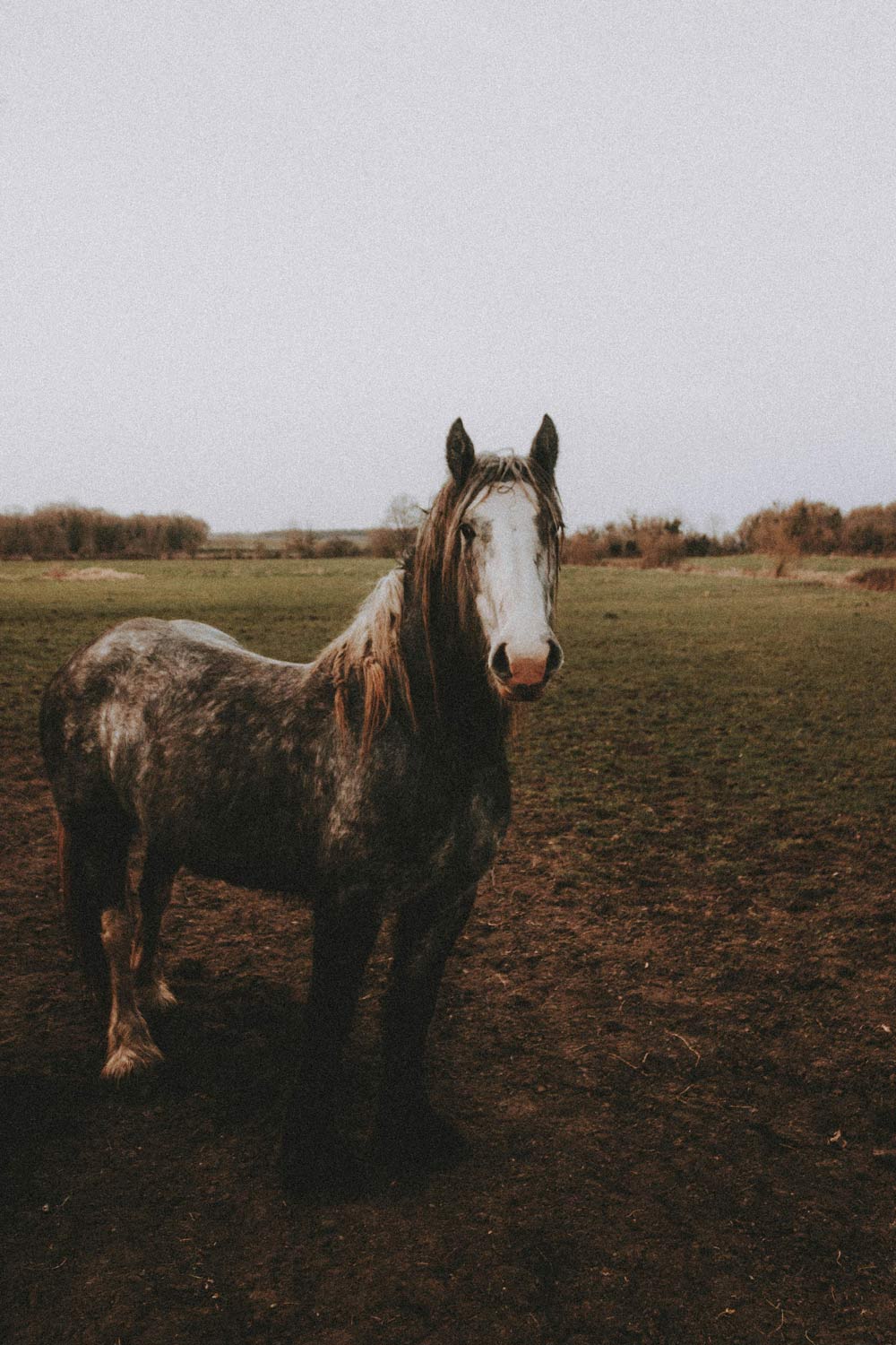 Heidi has since made a wonderful recovery.