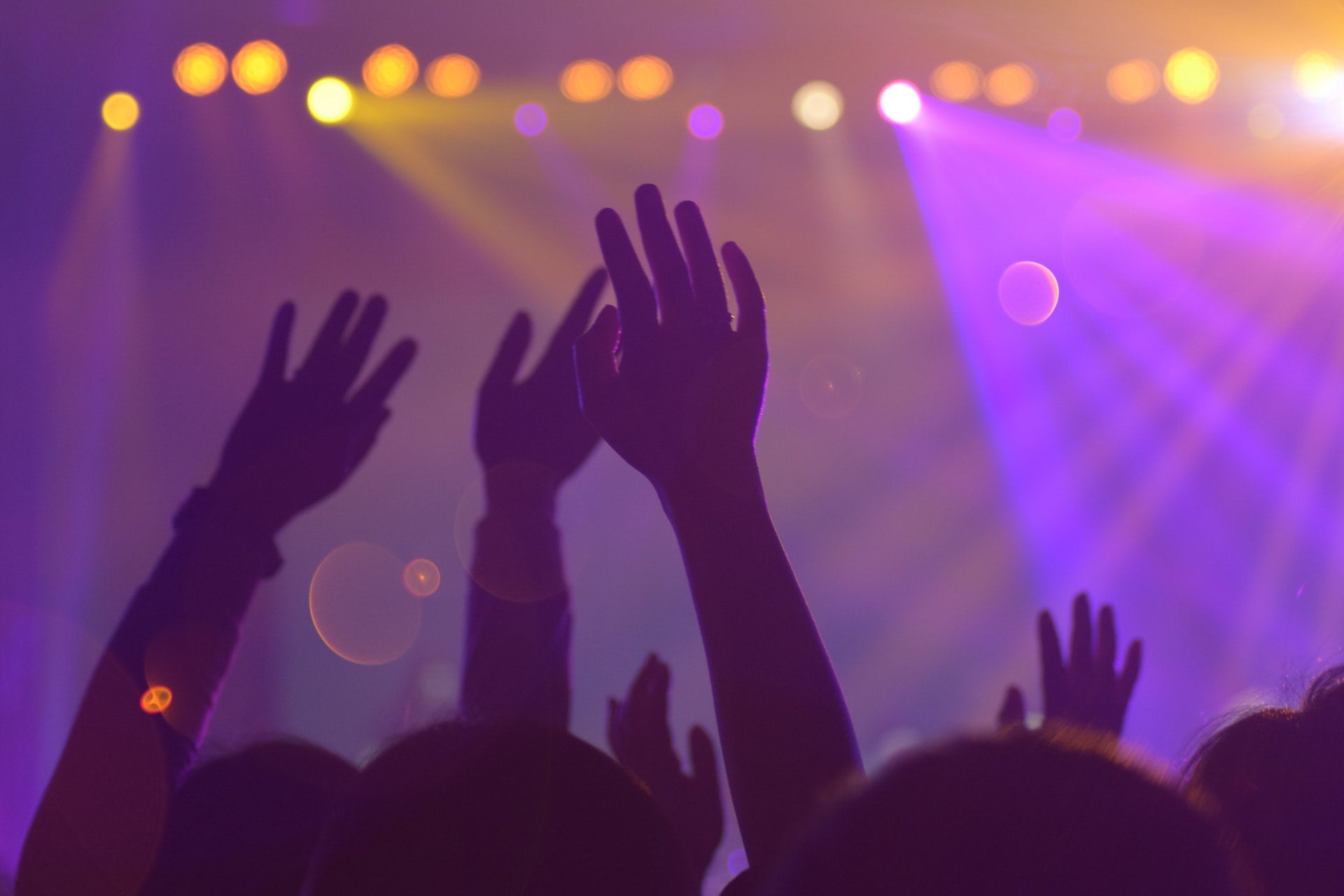 concert