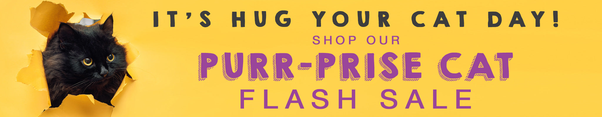 It's Hug Your Cat Day! | Shop Our Purr-prise Cat Flash Sale