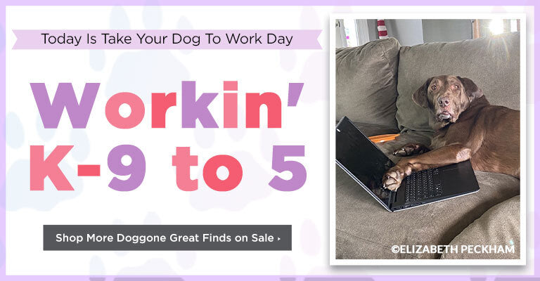 Today is Take Your Dog to Work Day | Workin' K-9 to 5 | Shop More Doggone Great Finds on Sale