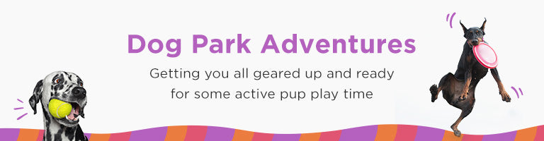 Dog Park Adventures | Getting you all geared up and ready for some active pup play time