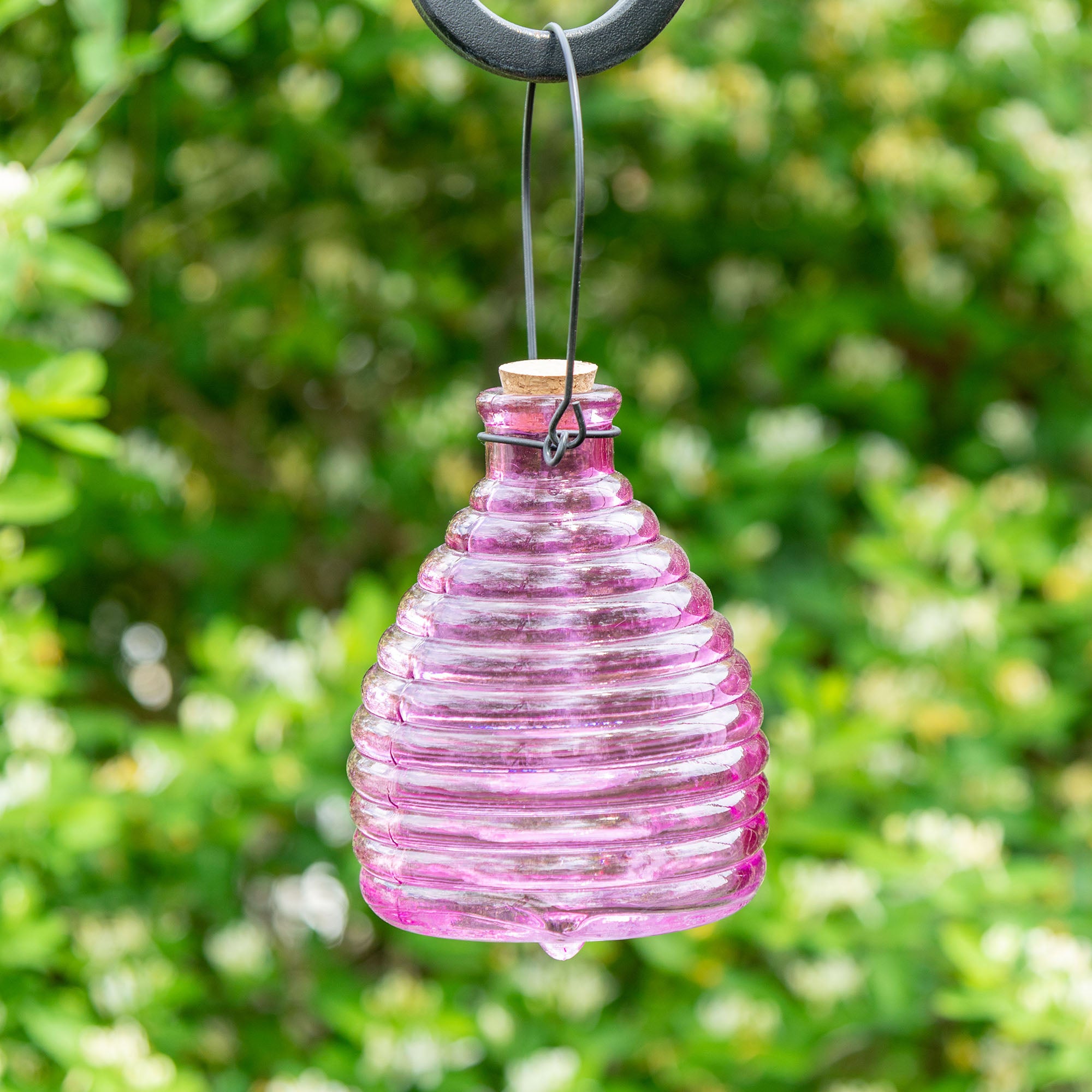 Glass Wasp Trap - Pink