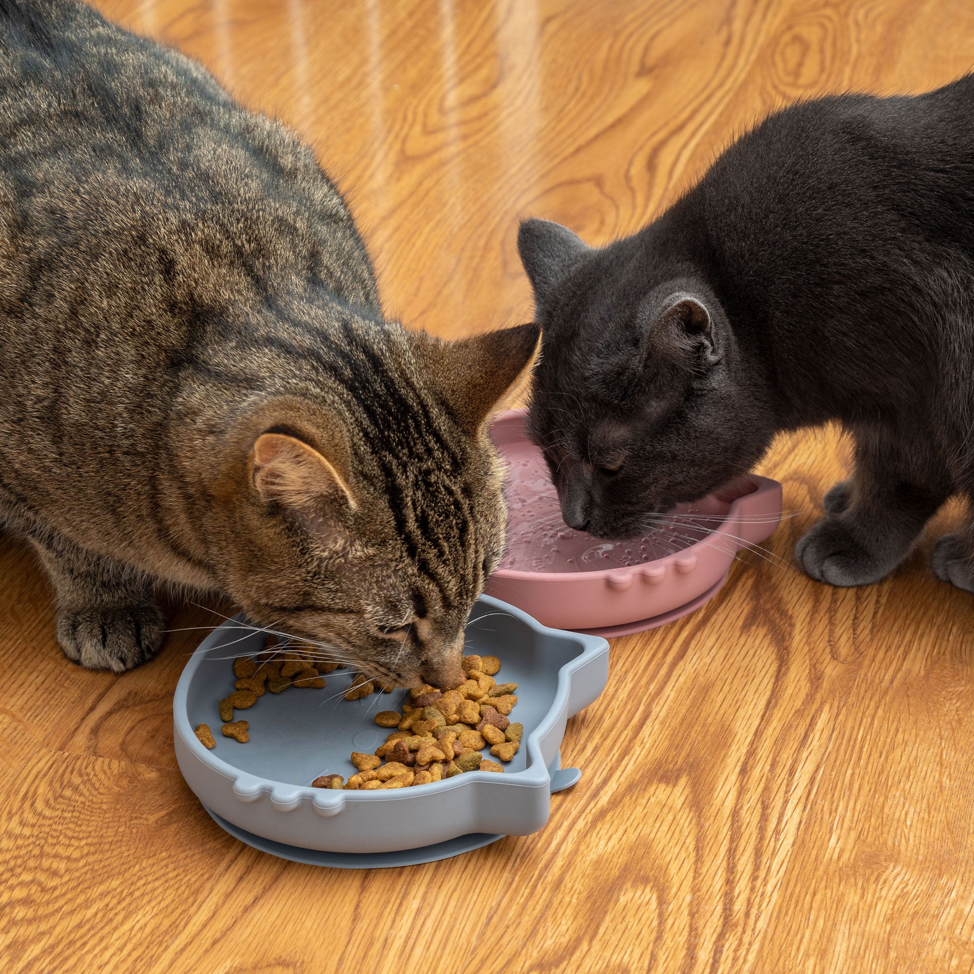 Silicone Cat Dish - Gray