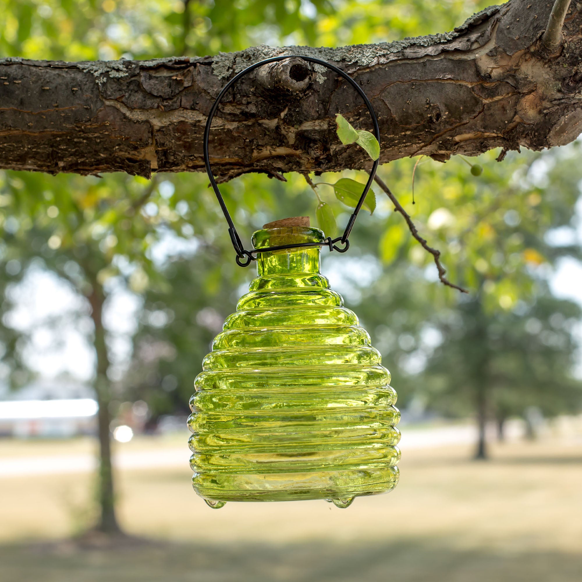 Glass Wasp Trap - Green
