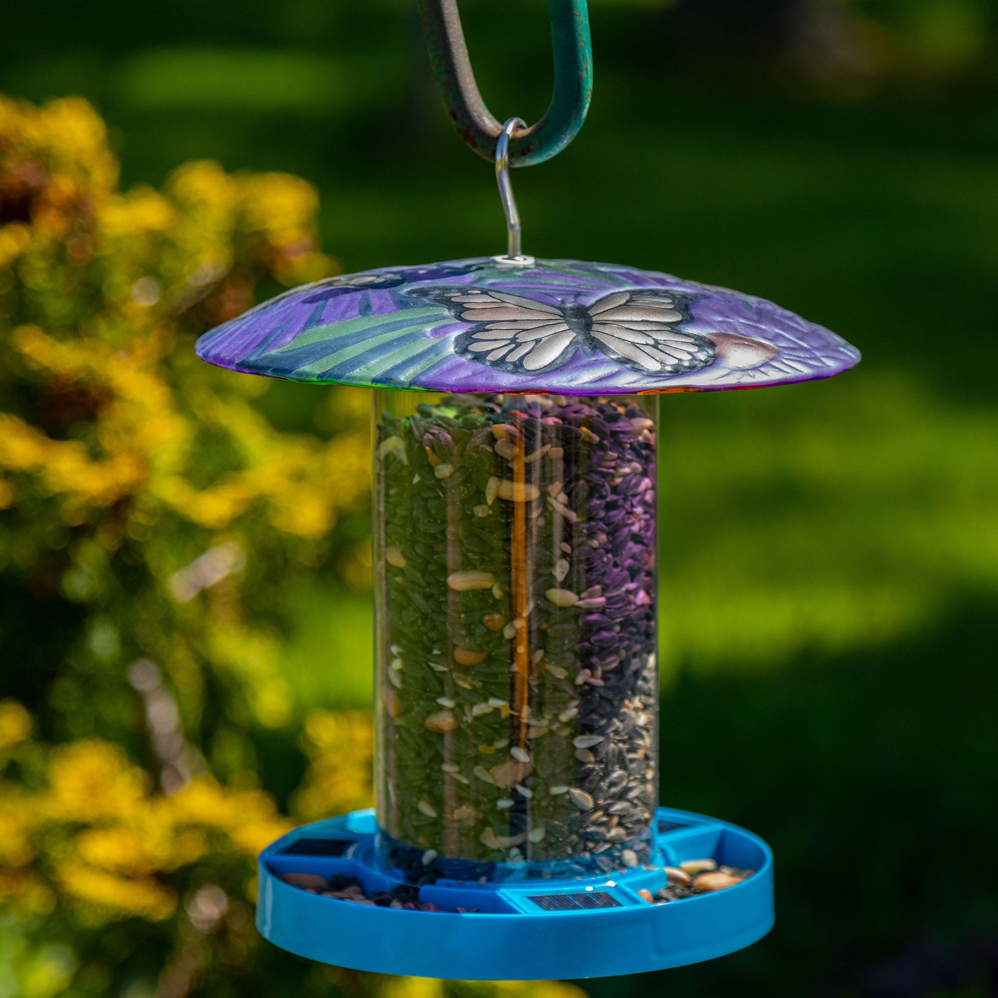 Bright & Bold Solar Bird Feeder - Butterfly