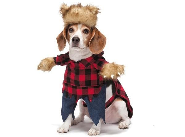 Werewolf Dog Costume - S