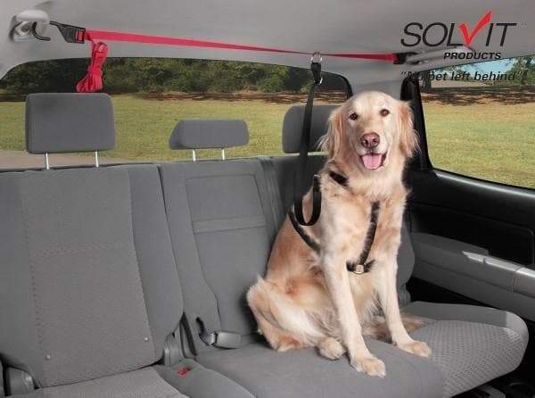 PupZIP™ Vehicle Zipline