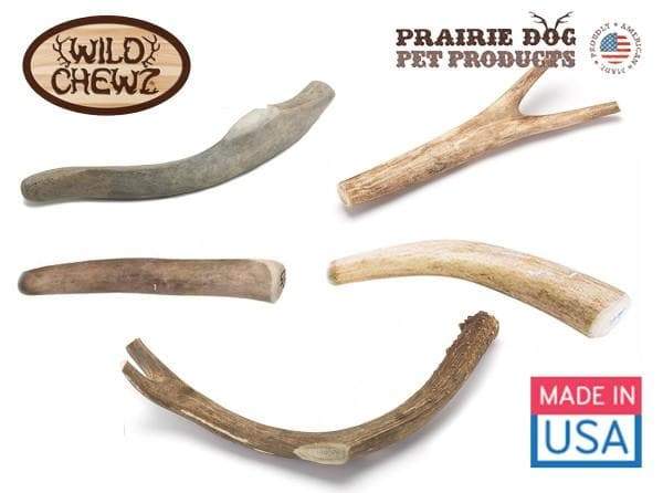 Deer Antler Chews USA-Made - Puppy